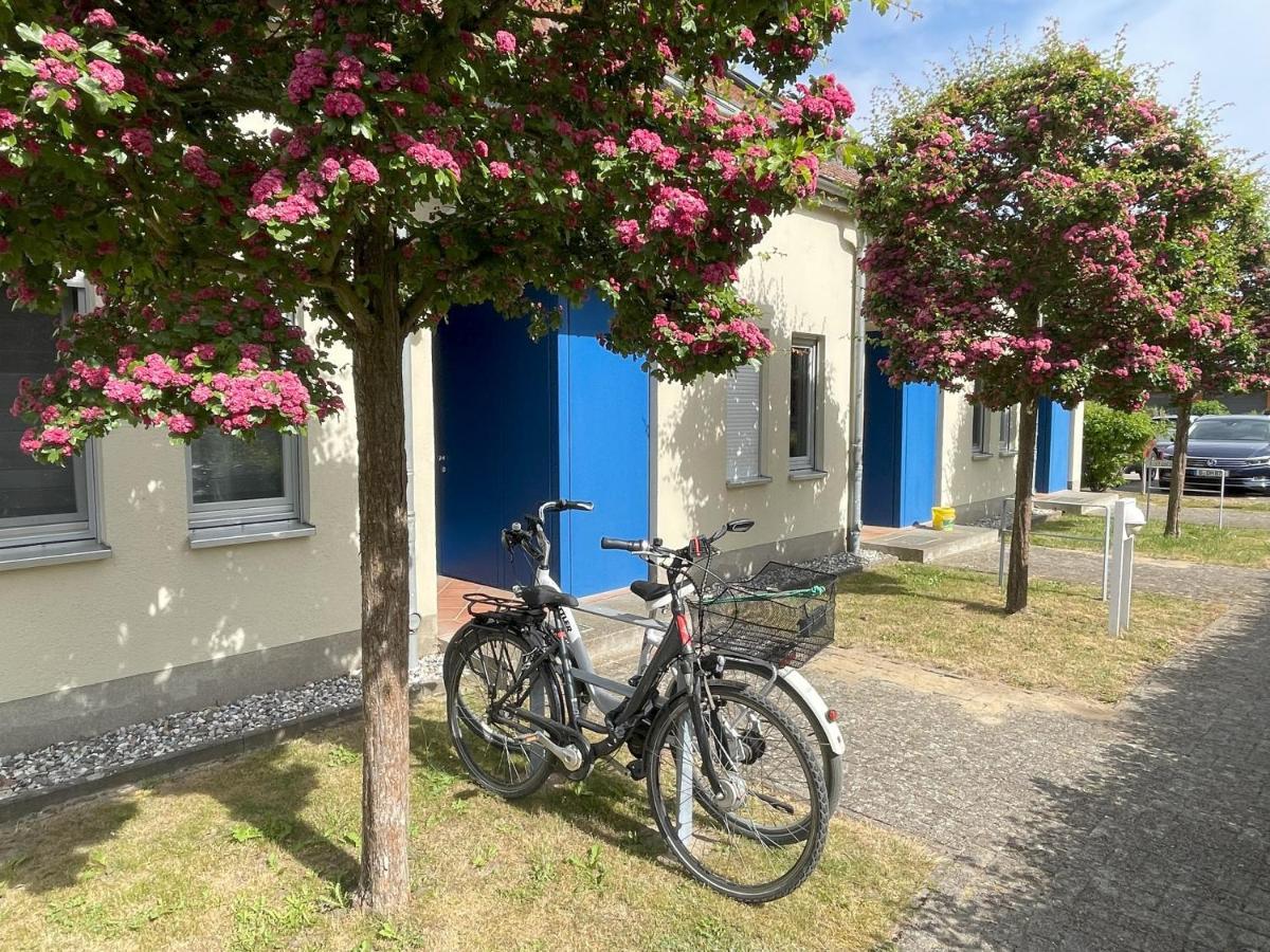Ferienwohnung Achterwasser Mit Terrasse Dewichow Luaran gambar